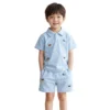 Sundaykids Boys' Summer Polo Set: T-shirt and Shorts, Cute Two-Piece Set