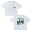 SundayKids casual solid color embroidered print T-shirt, cool and sweat-wicking loose top, suitable for siblings, parent-child outfits.